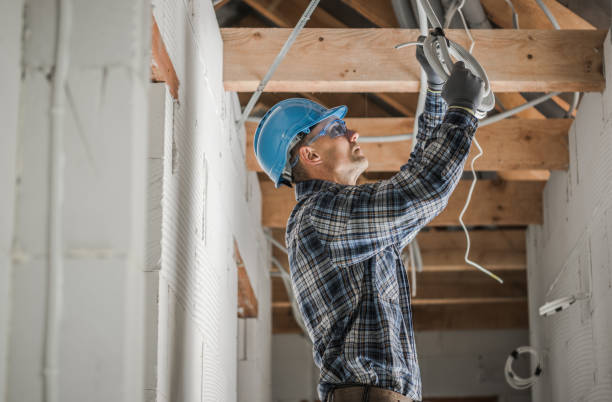 Best Ceiling Fan Installation Electrician  in Gridley, IL